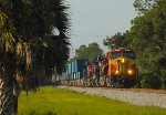 FEC 801